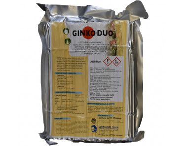 Ginko Duo