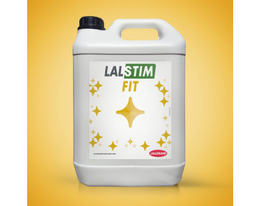 Lalstim Fit
