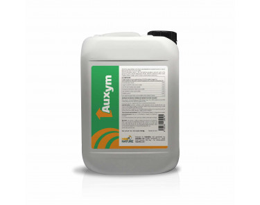 Auxym