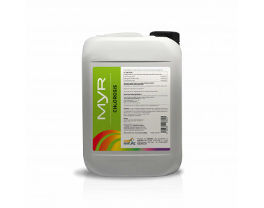 MYR Chlorose