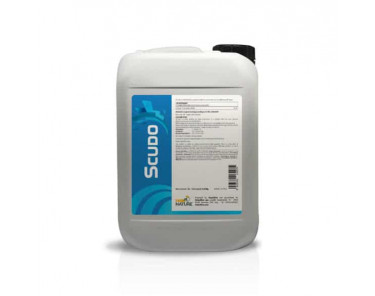 Scudo