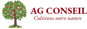AG CONSEIL